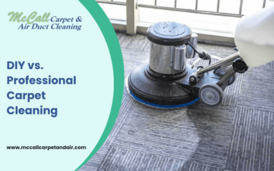 DIY vs. Professional Carpet Cleaning